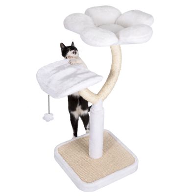 arbre a chat white flower